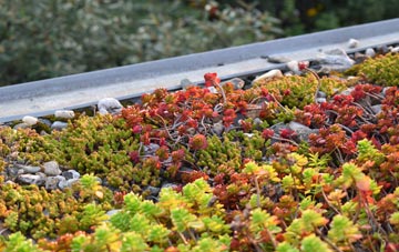 the cost of Aberedw green roof installation