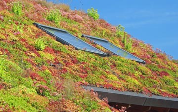 Aberedw living roof systems