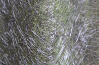 Aberedw fibreglass roof work